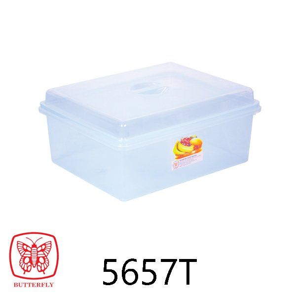 plastic tray container