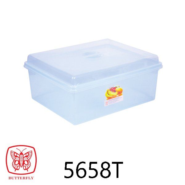 Plastic container food