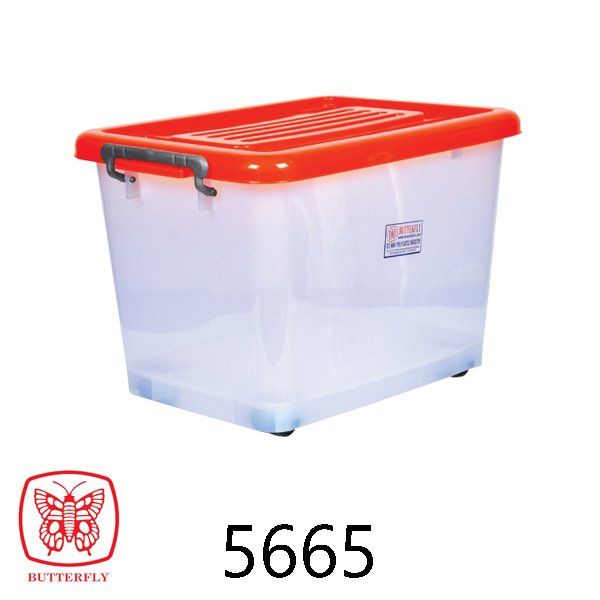 container box with cover