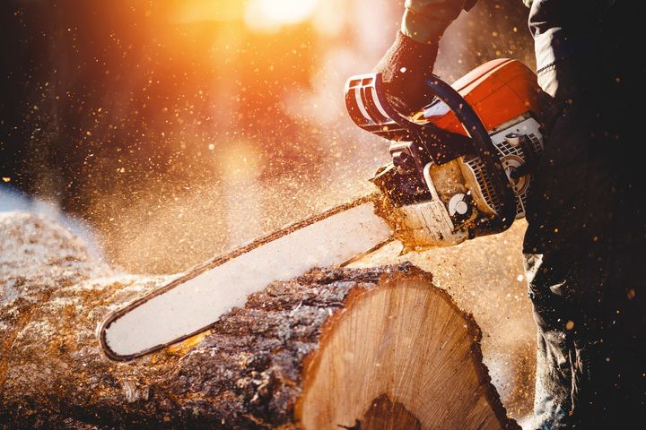 Using a chainsaw on a tree stump