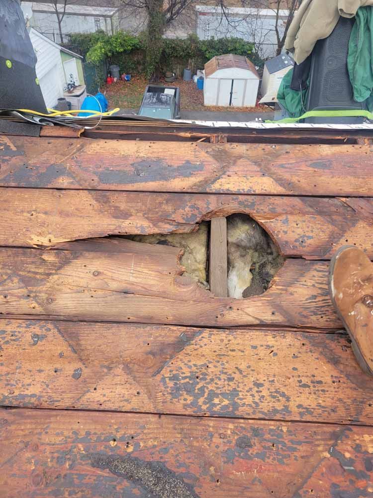 A wooden roof with a hole in it and a shed in the background.