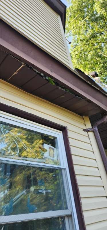 A close up of a window on the side of a house.