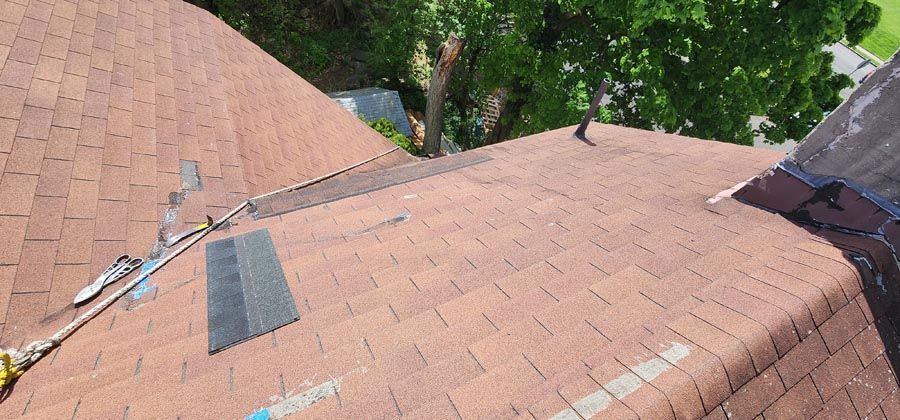 A close up of a roof with a tree in the background.