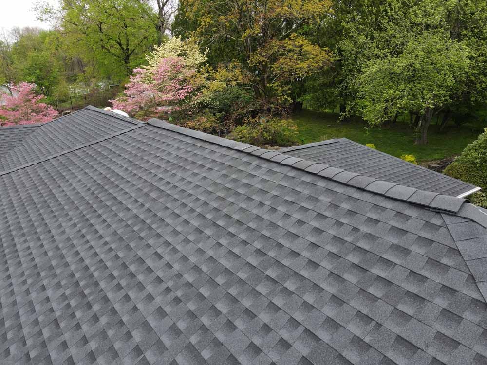 An aerial view of a roof with trees in the background.