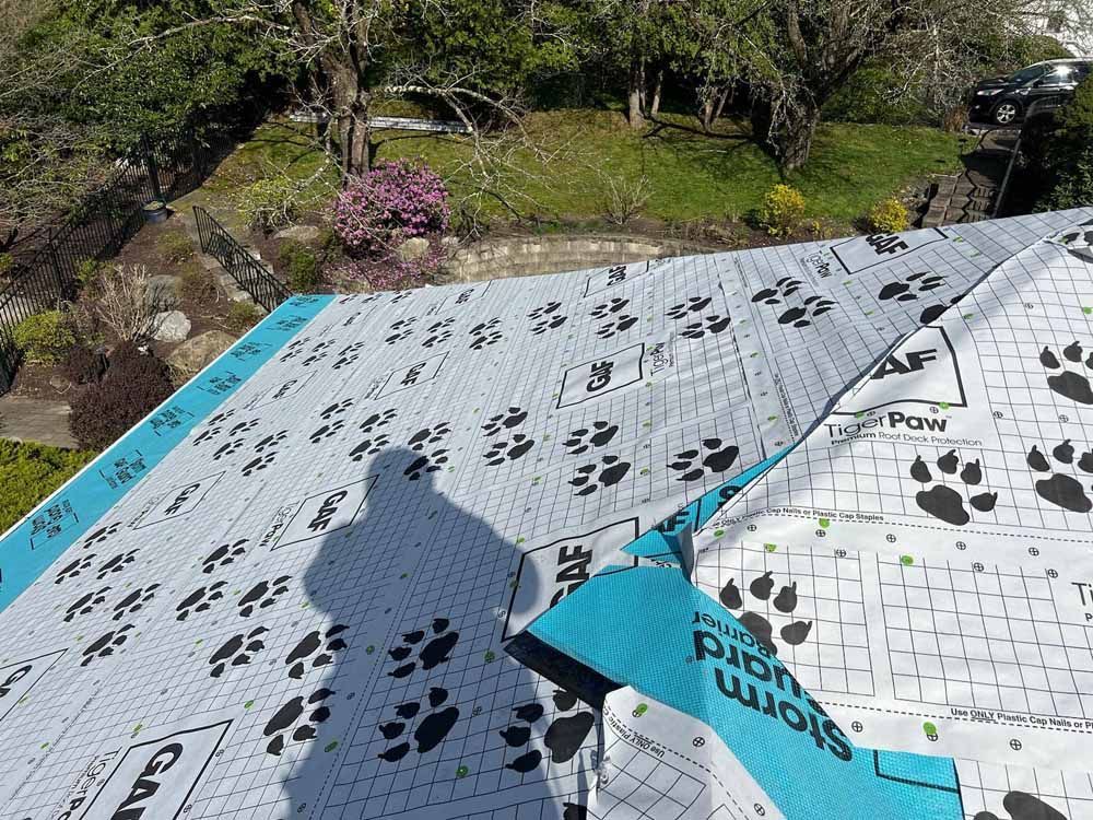 An aerial view of a roof with paw prints on it.