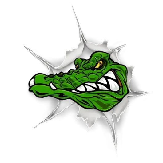 Green alligator head tearing through white background.