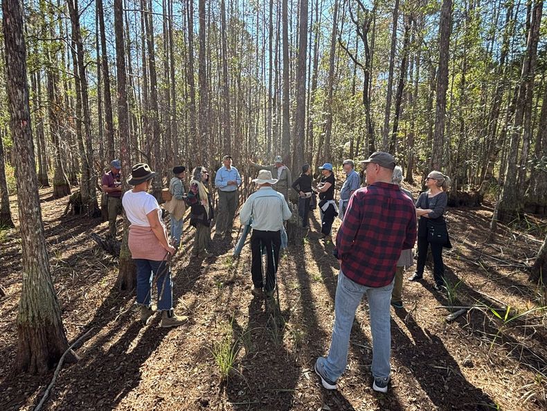 Guided nature walk.