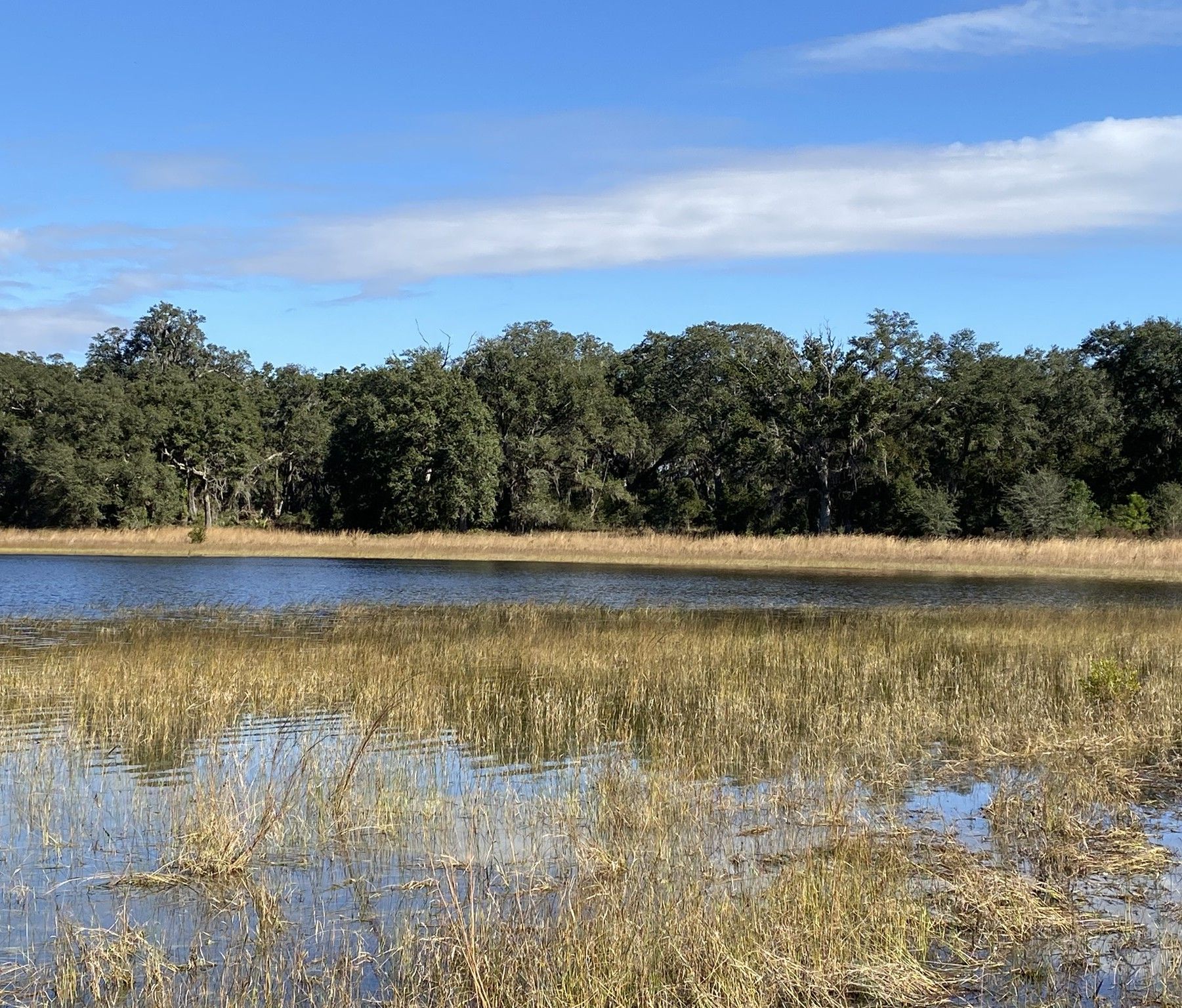 View of Osprey Mirror lake at WildFlowers Park