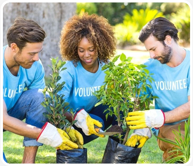 Volunteer