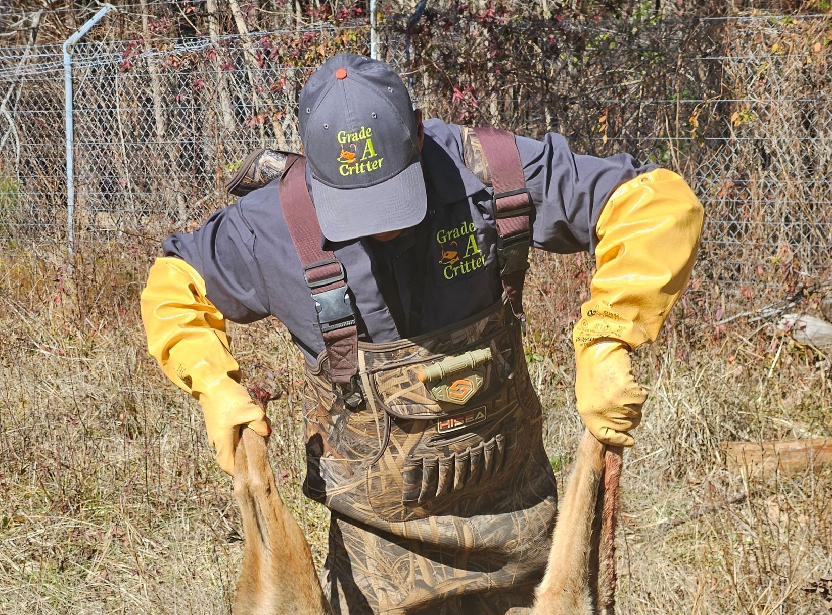 A man holding a trapped coyote.