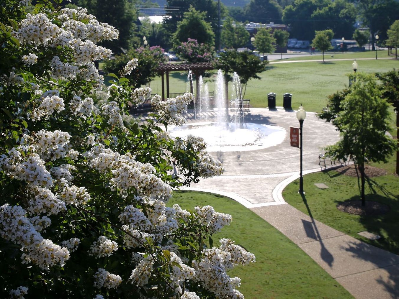 A fountain in a park with white flowers in the foreground