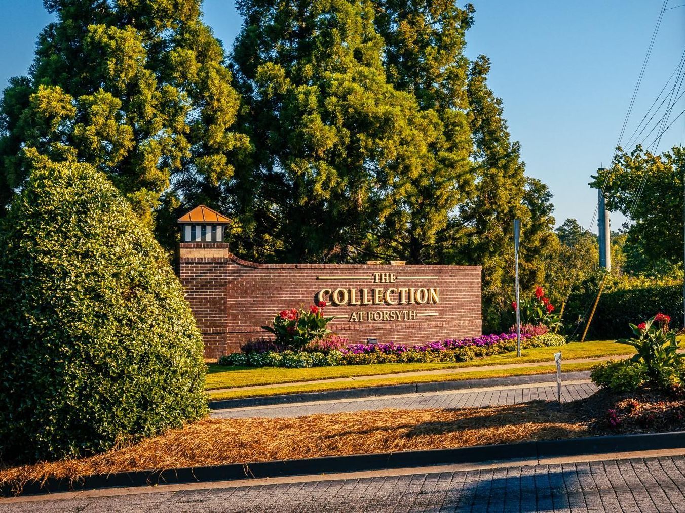 A collection sign is surrounded by trees and bushes.