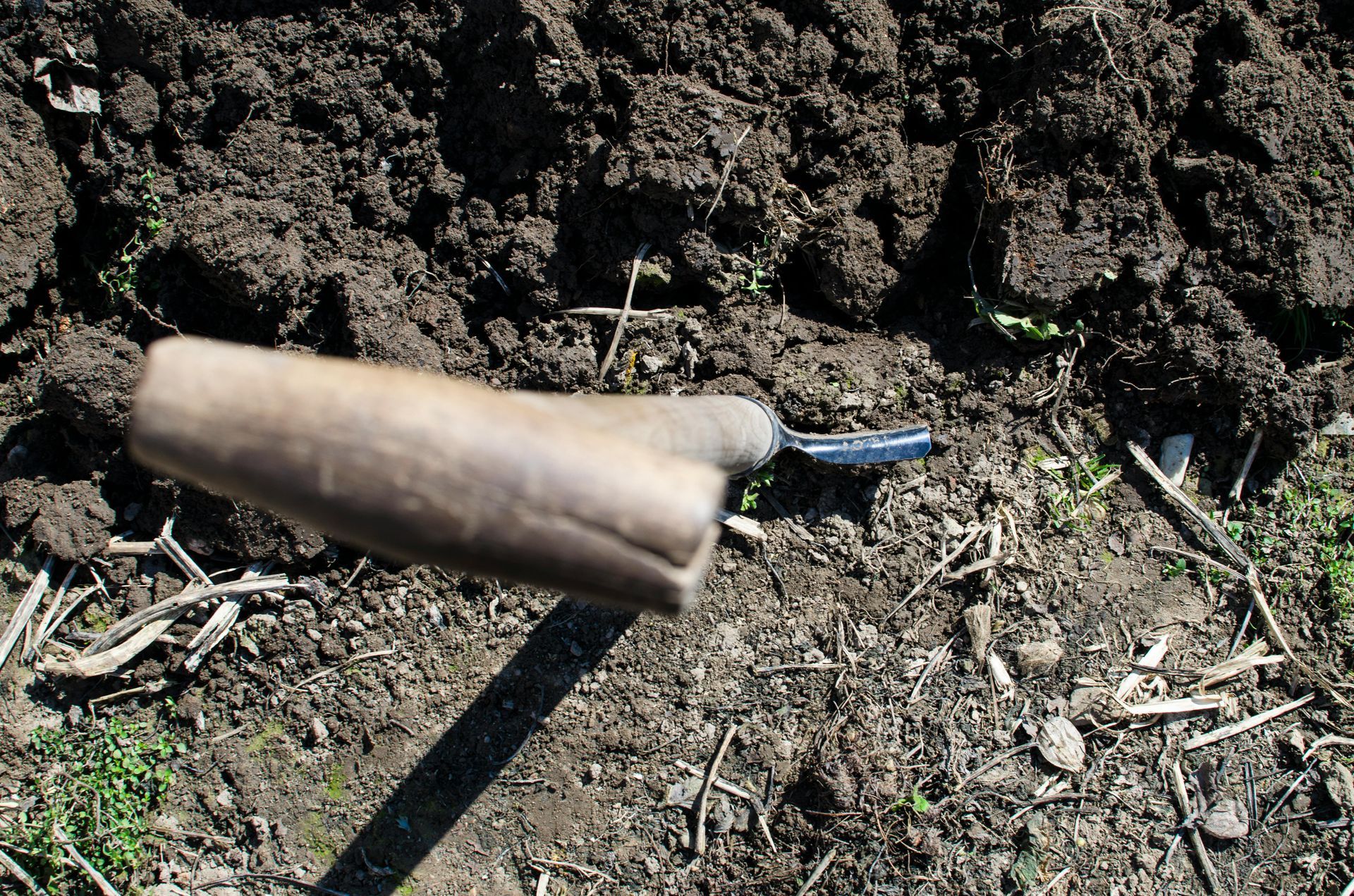 A shovel is laying on the ground in the dirt