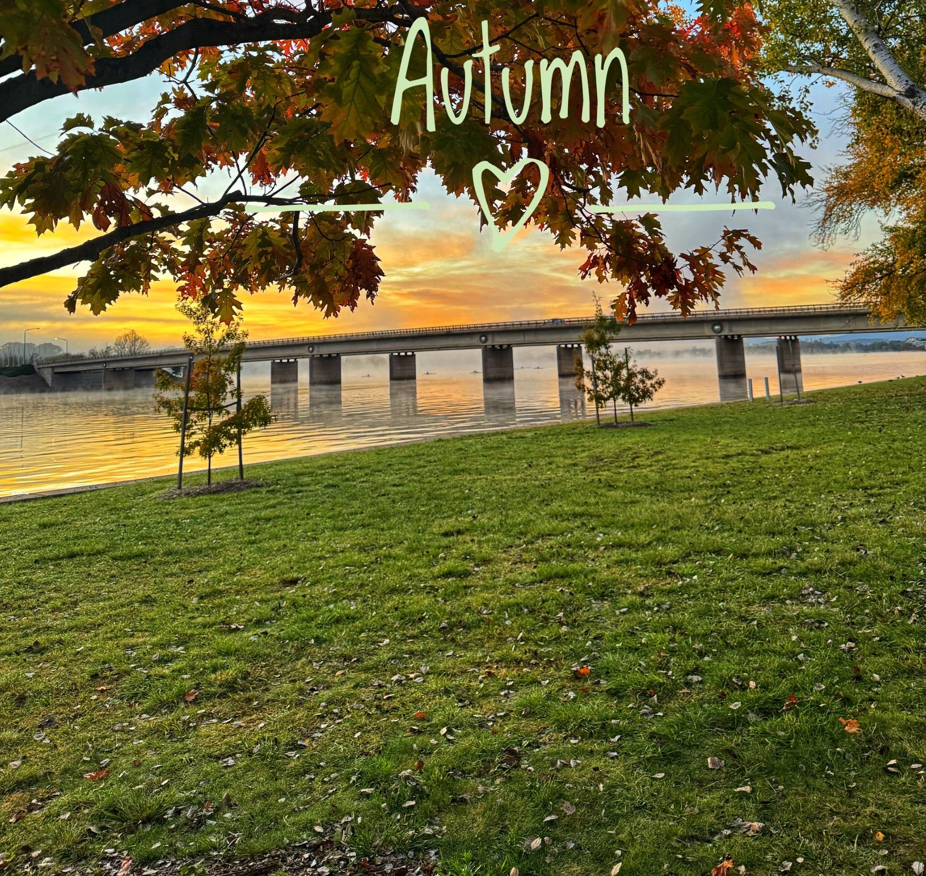 Amore Autumn In Canberra