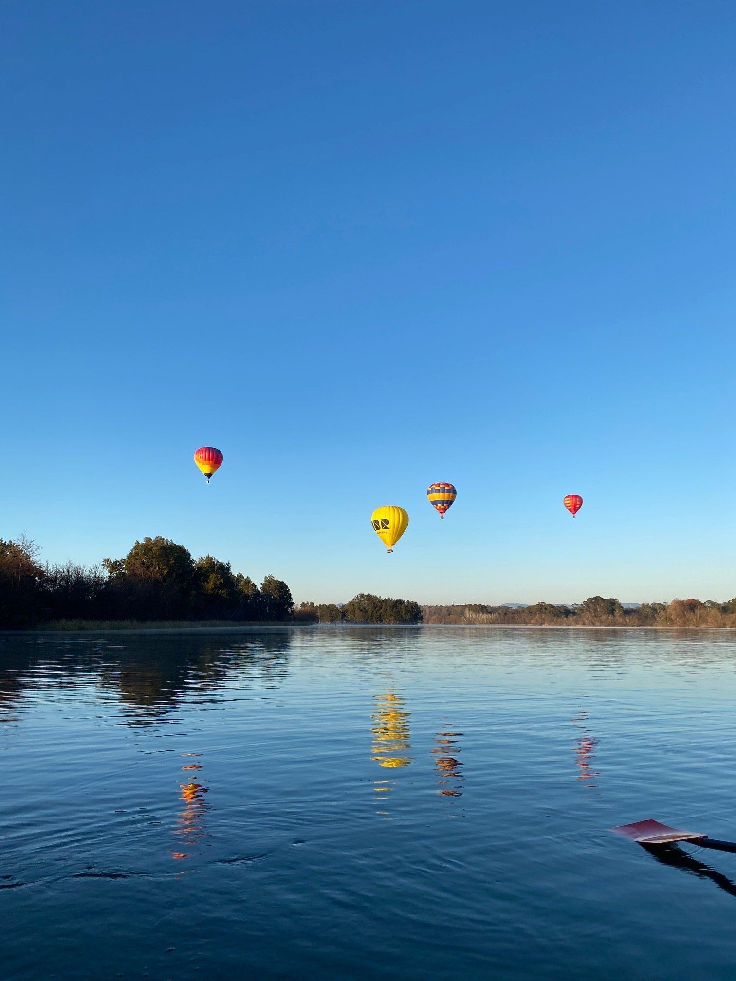 Five colorful hot air balloons reflect on calm water under a clear blue sky.