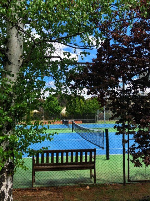 Tennis court viewed through trees; bench in foreground. Blue court, green surroundings.