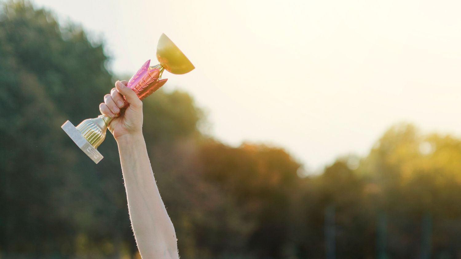 A person is holding a trophy in their hand.