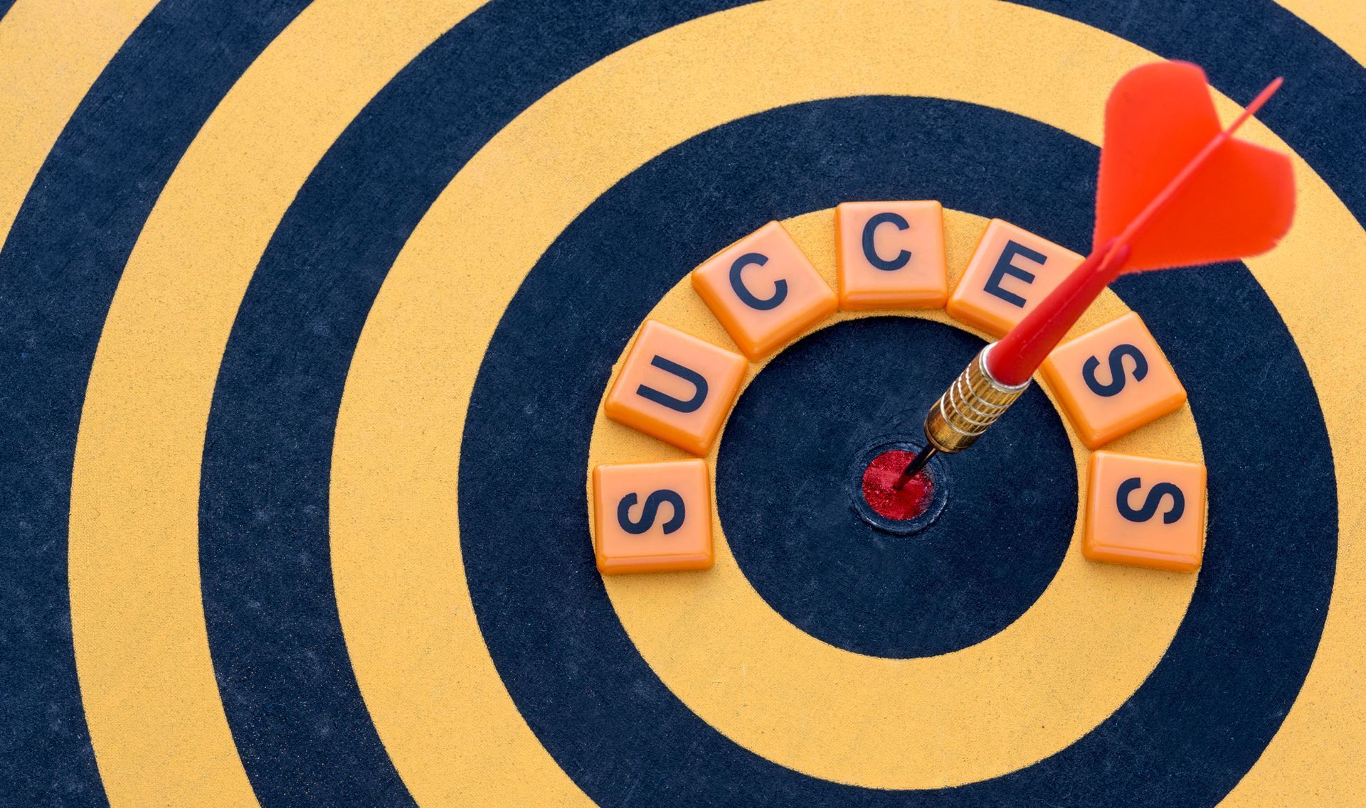 A dart board with the word success on it