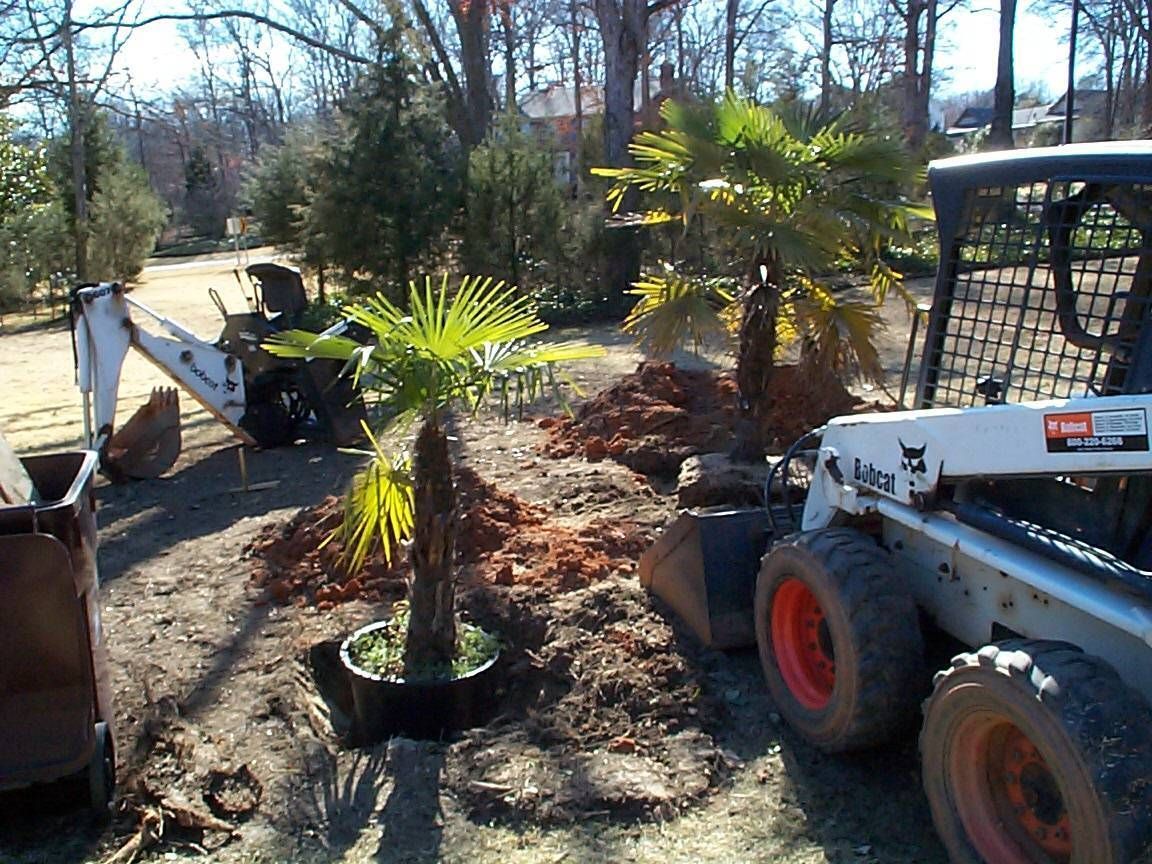 Planting — Spartanburg, SC — AAA Bobcat & Landscaping