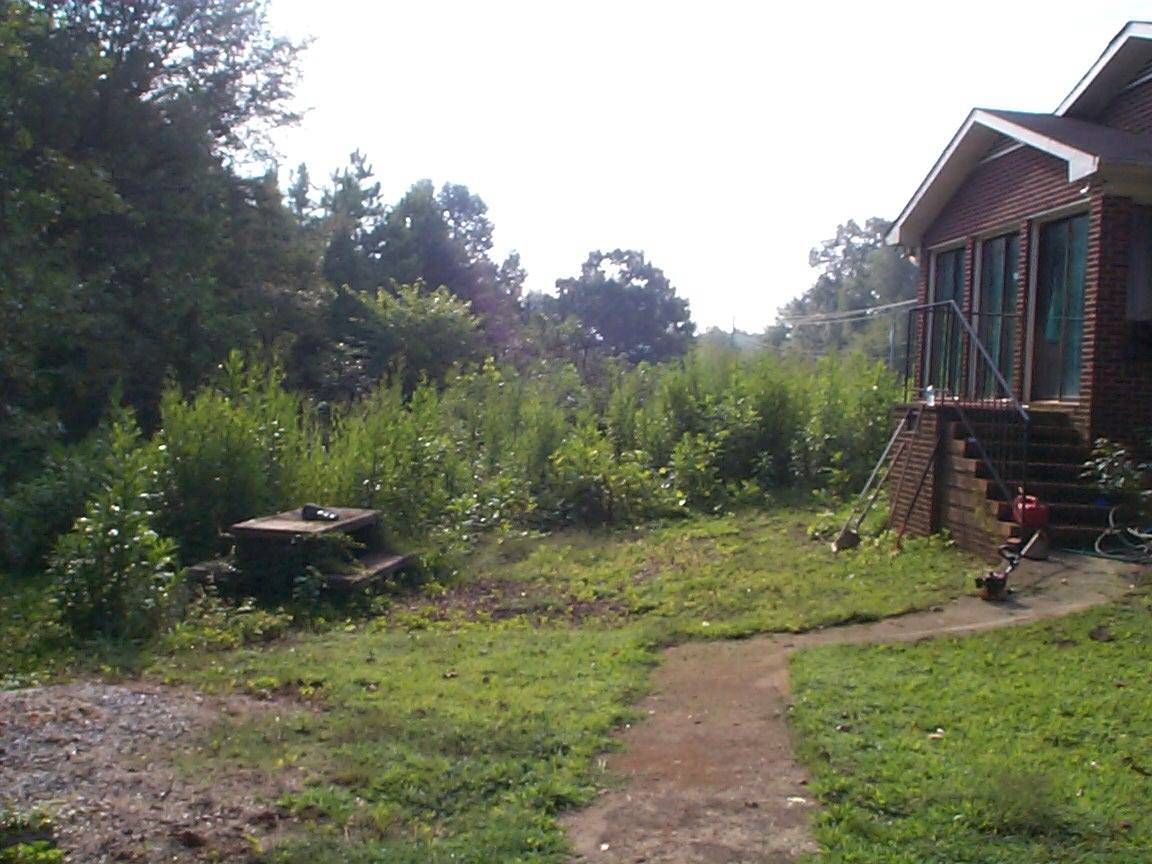 Before Backyard Clean Up — Spartanburg, SC — AAA Bobcat & Landscaping