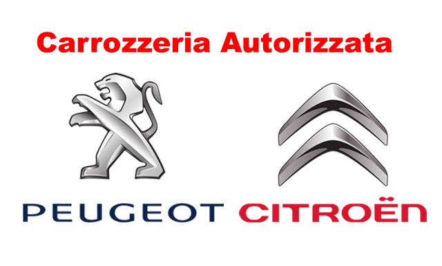 Assistenza autorizzata peugeot citroen