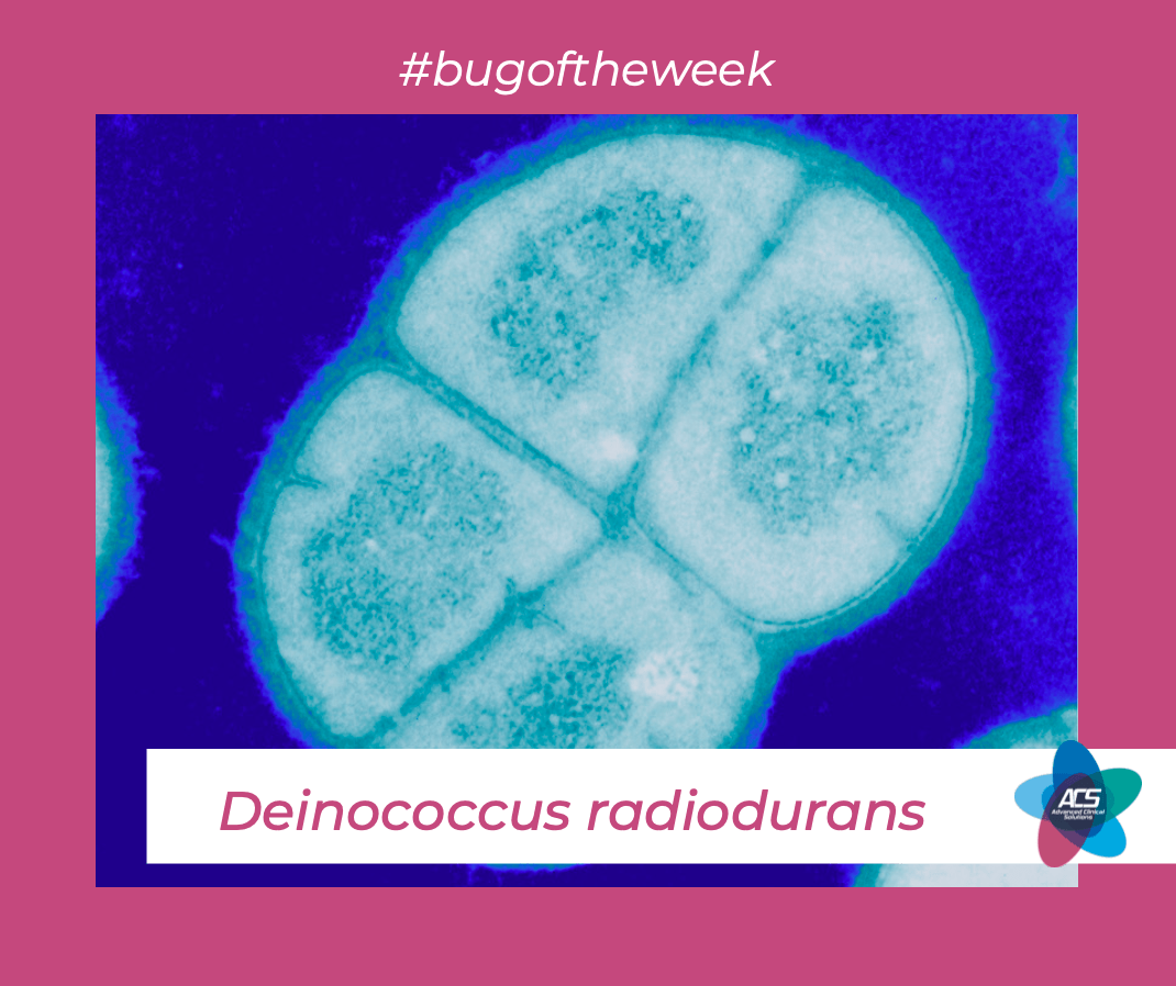 Deinococcus Radiodurans