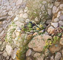 Catalina Rock Retaining Wall with Planter