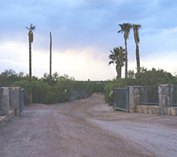 Dirt Road