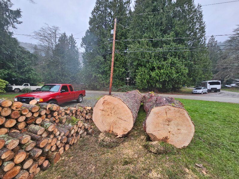 Chopped tree logs with firewood pile in front of a red truck and utility pole.