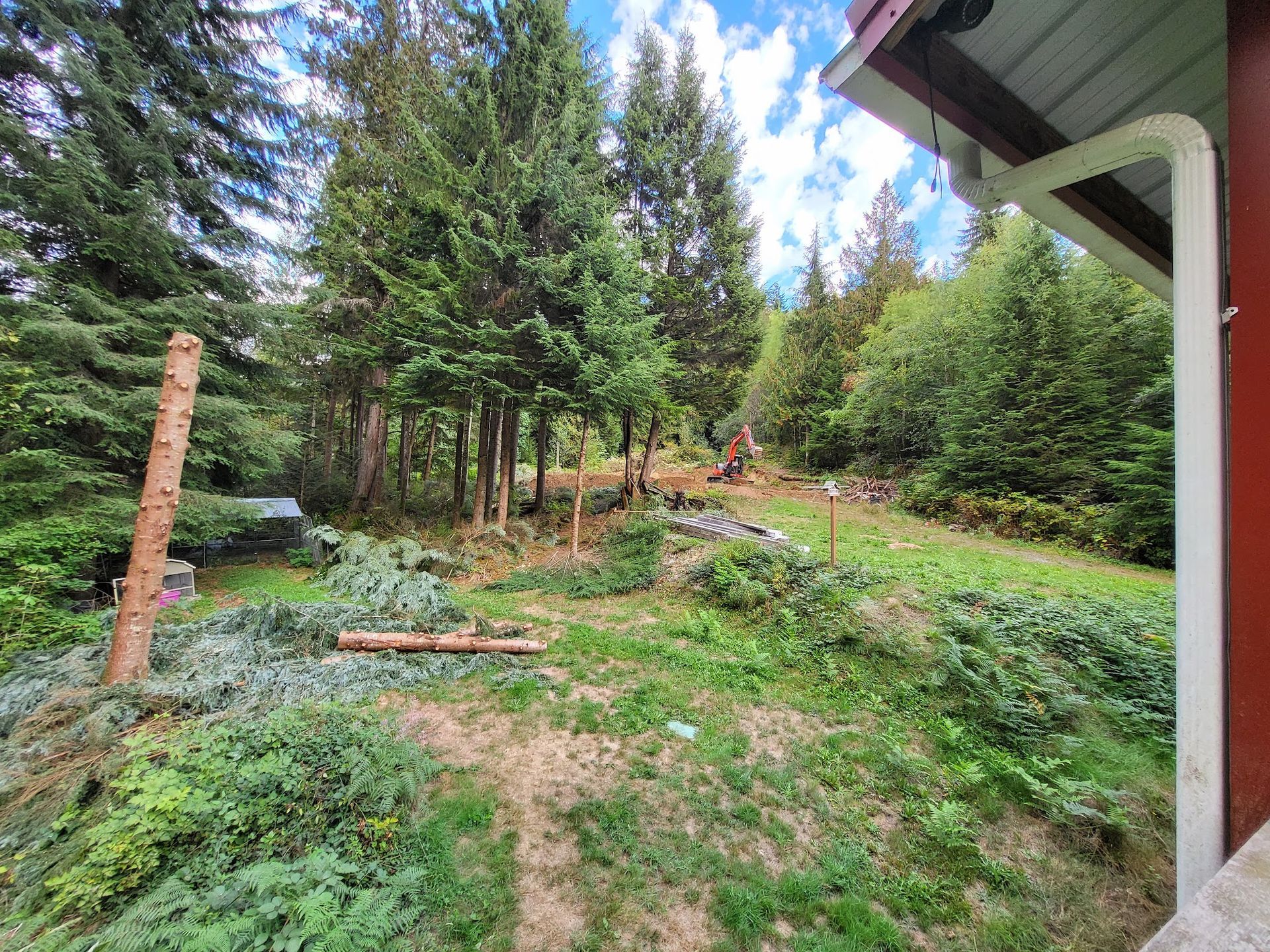 A backyard with a lot of grass and trees in the background.