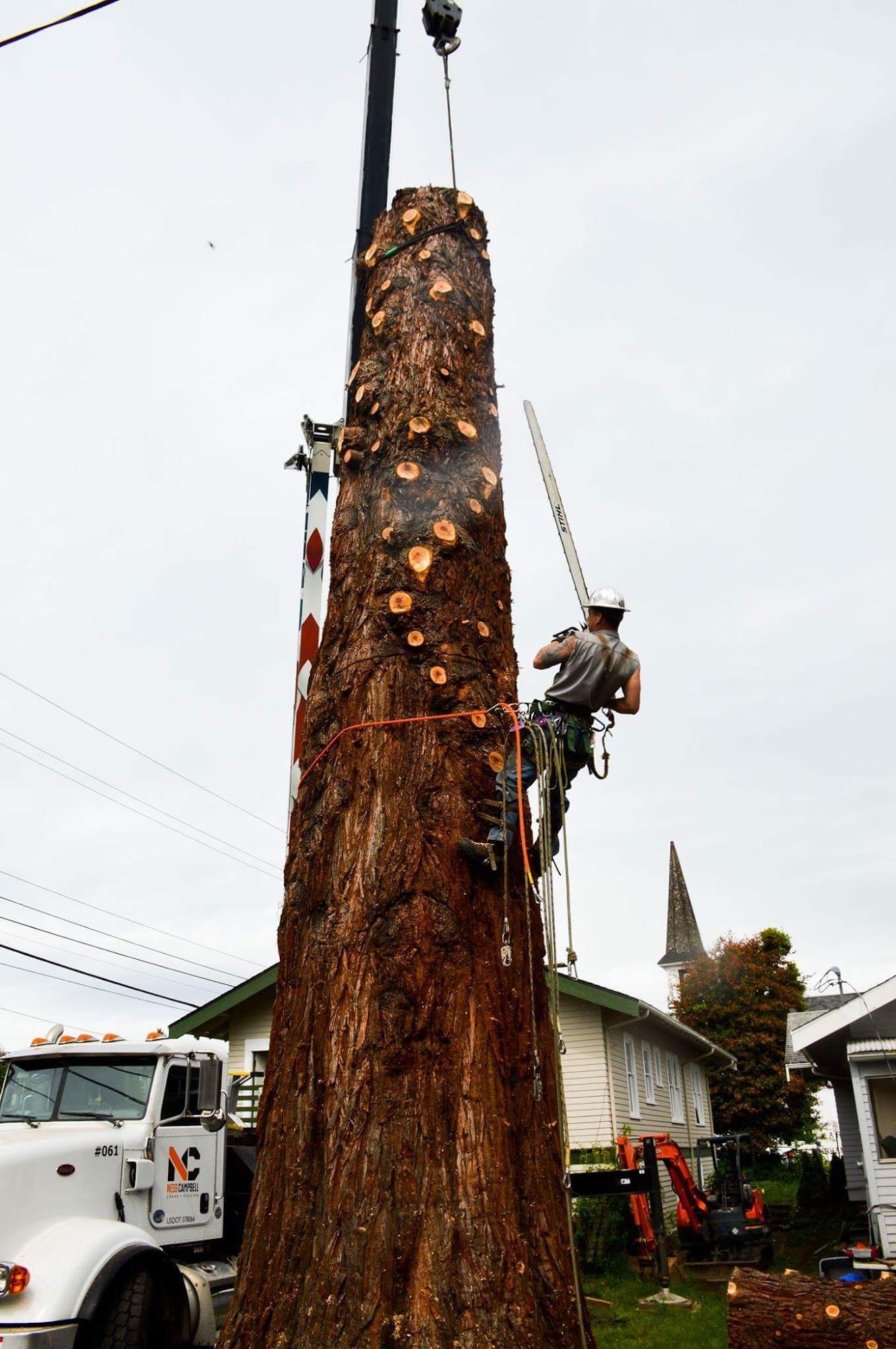 A man is climbing up a tree with a crane.