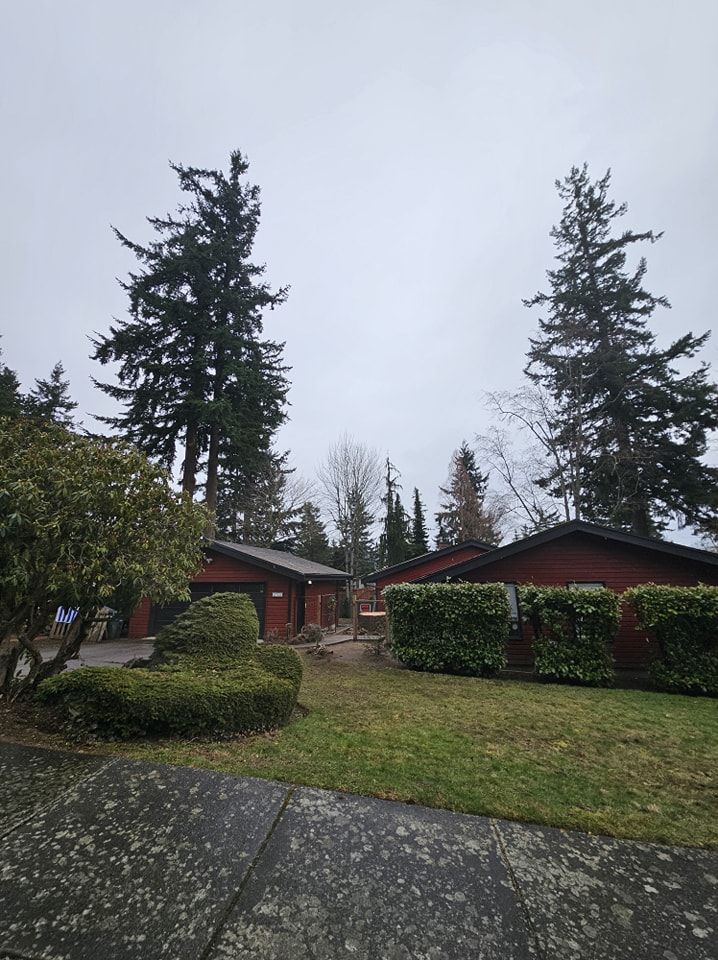 A house with a lot of trees in front of it