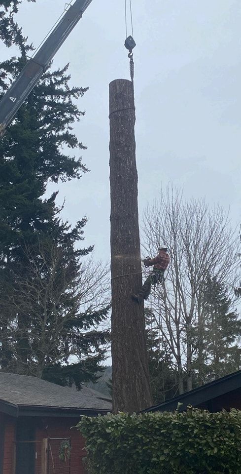A man is climbing up a tree stump with a crane.