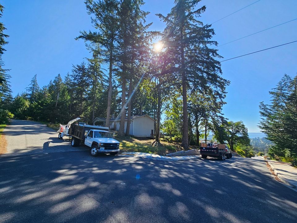 A white truck is parked on the side of a road.