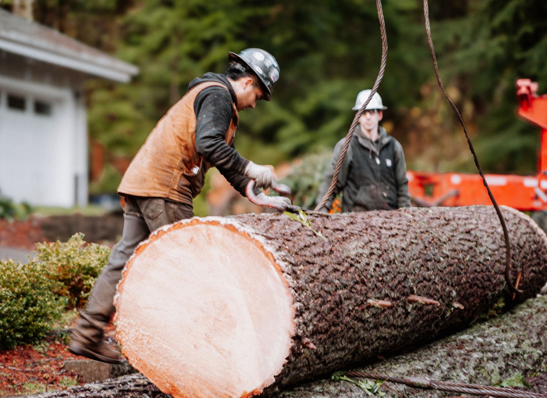 Two people cutting a log outdoors with a chainsaw. One person measures the log.