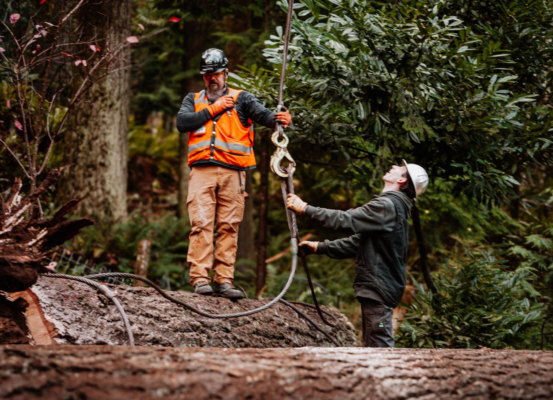 Two workers connecting a cable to a large log in a forest. One worker wears a safety vest.