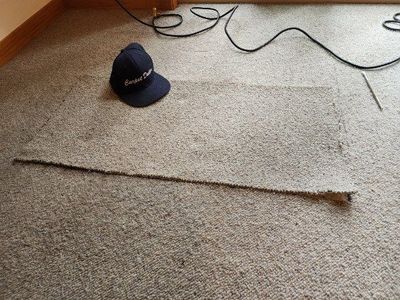 A cat is playing with a book on a rug in a living room.