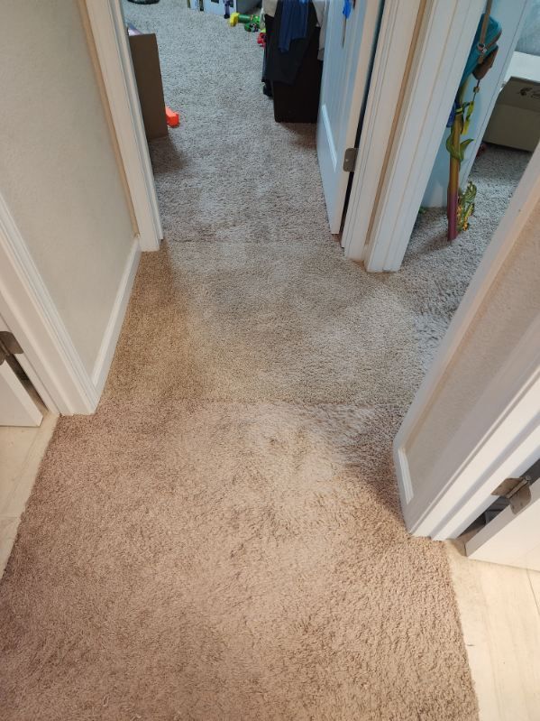 A gray and white cat is laying in the grass next to a wooden fence.