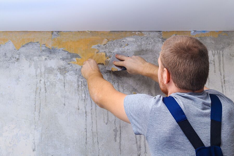 a man painting a wall with a paint roller