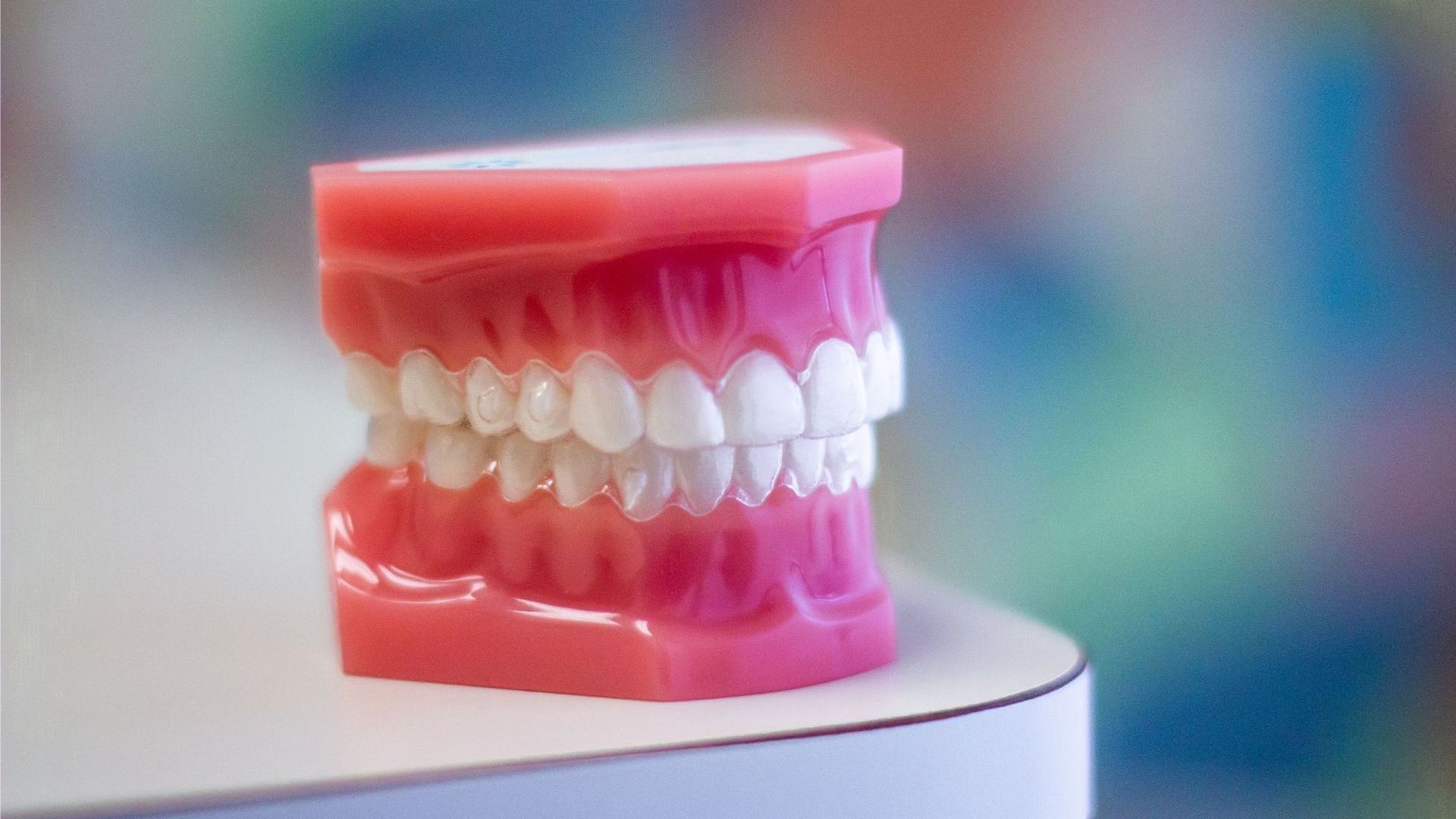 a model of a person 's teeth sits on a table