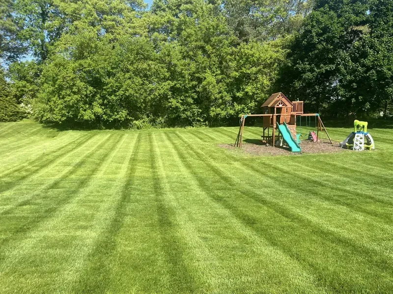 landscaping services