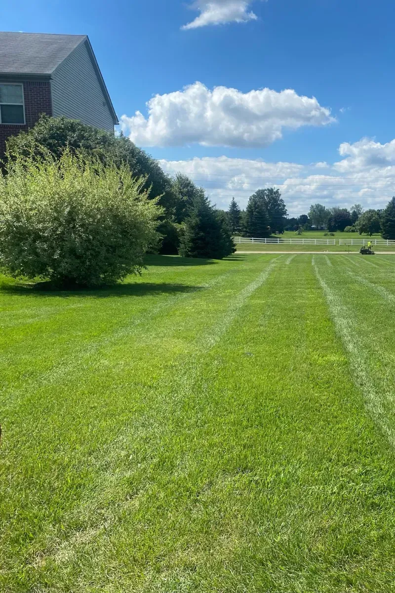 landscaping services