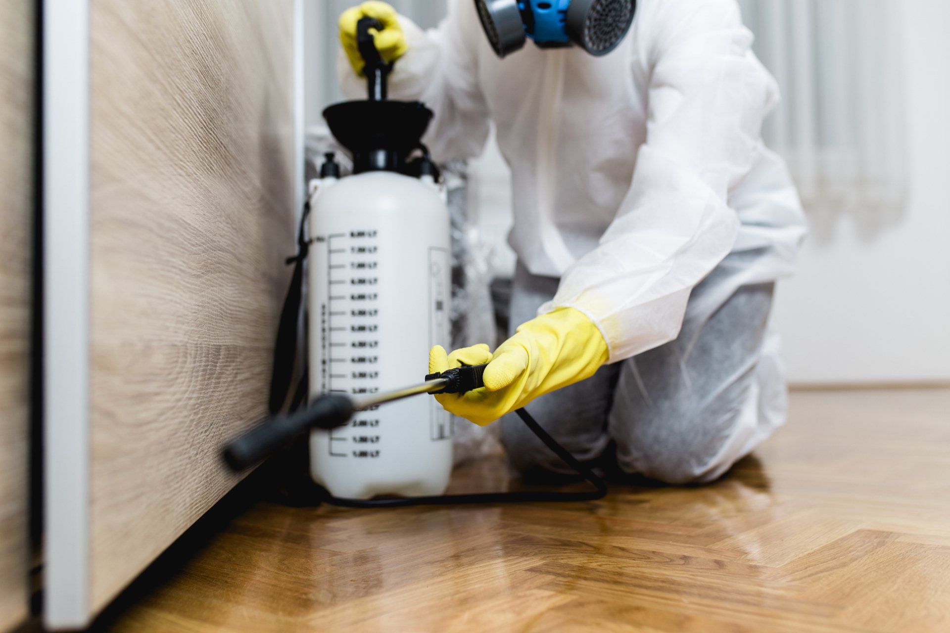 Woman Exterminator In Work Wear Spraying Pesticide - Harrison, AR - Pest-X
