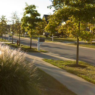 Sunlit suburban street with a sidewalk, trees, and houses along a quiet road