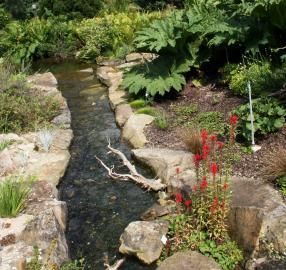 Narrow garden stream bordered by stone, with ferns and red flowers along the banks