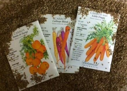 Three carrot seed packets with orange, purple, and multicolored carrots on a carpet.