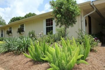 Single-story beige house with lush green landscaping and a mulched front yard under a blue sky