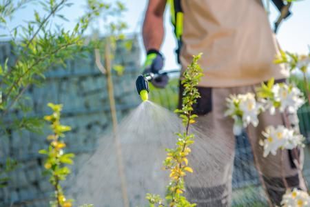 Person watering plants in a garden with a spray hose