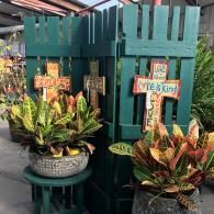 Two potted croton plants beside a teal wooden fence with decorative cross and welcome signs