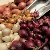 Assorted red, white, and yellow onions piled in a market display